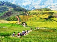 Excursion à Sapa depuis Hanoi