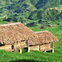 Eco Palm Bungalow