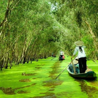 Delta du Mekong