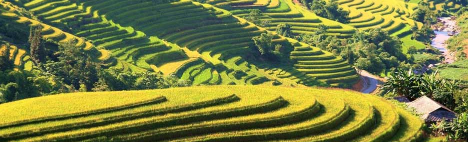 Hoang-Su-Phi-trekking