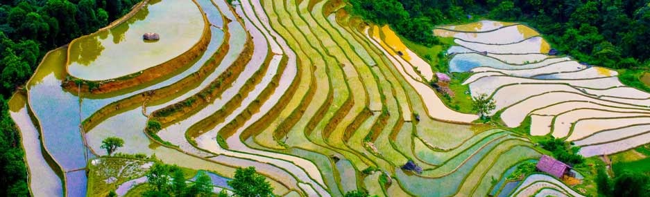 Randonnée-à-Sapa