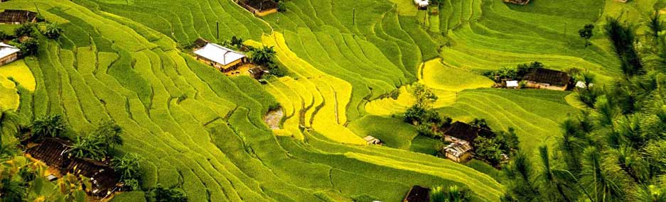 Ha-Giang-trek-Hoang-Su-Phi