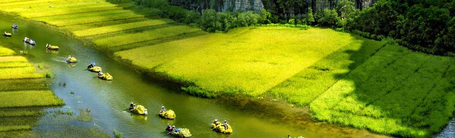 Tam-Coc-Ninh-Binh 